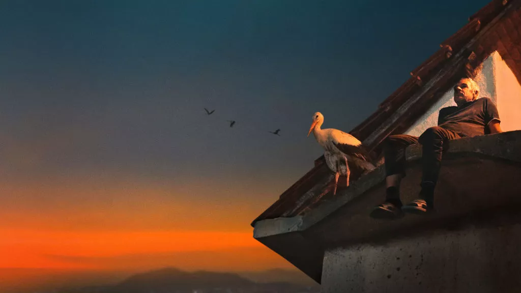 Kino u dvorištu: Priča o Siljanu