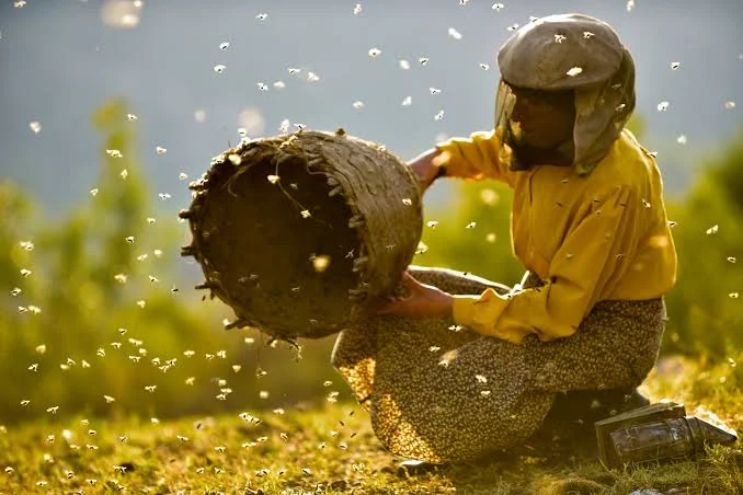 MEDENA ZEMLJA - 2. Putujući festival makedonskog filma