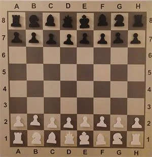 Učimo igrati šah